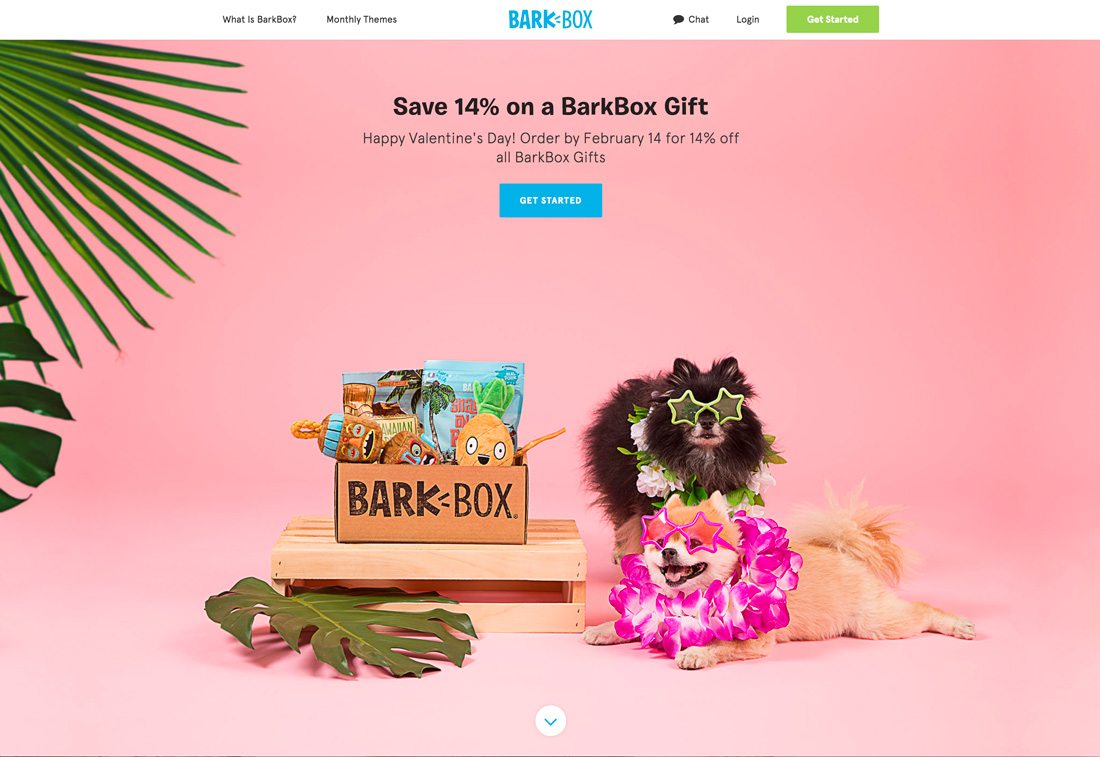 bark-vday 10 Tips for Designing Landing Pages That Don’t Suck design tips 