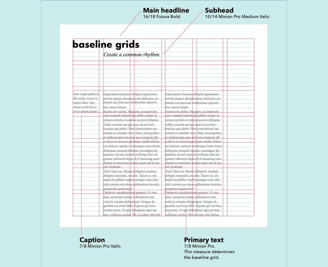 baseline grid