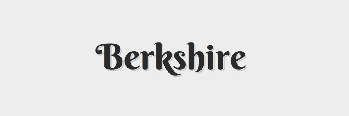 berkshire The 10 Best Script and Handwritten Google Fonts design tips 