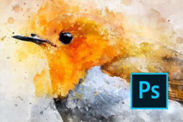 Paint Brush Strokes, Objects, Textures, Patterns, Backgrounds ft. paint &  brush - Envato Elements