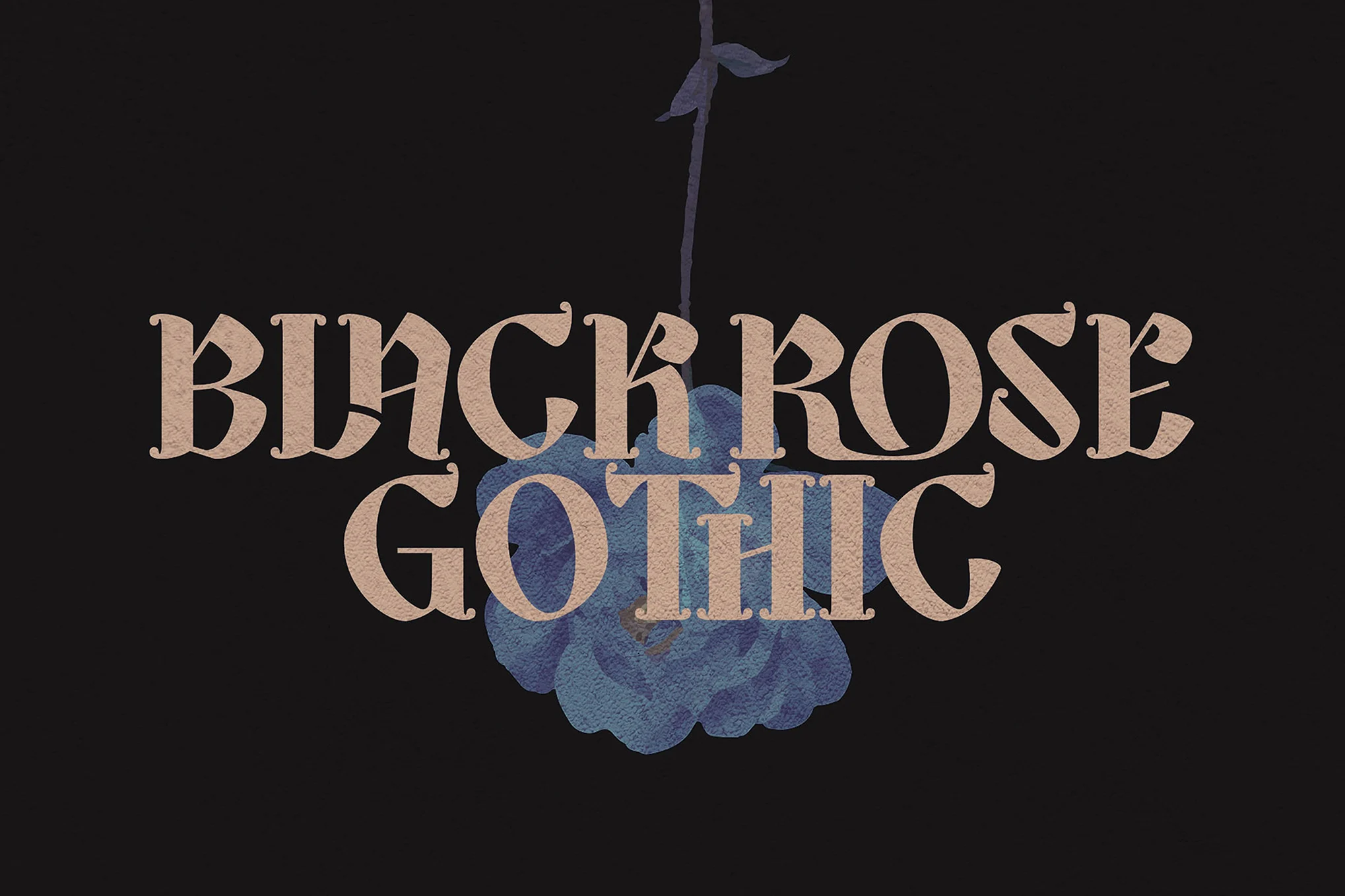 Black Rose - Gothic Pirate Font