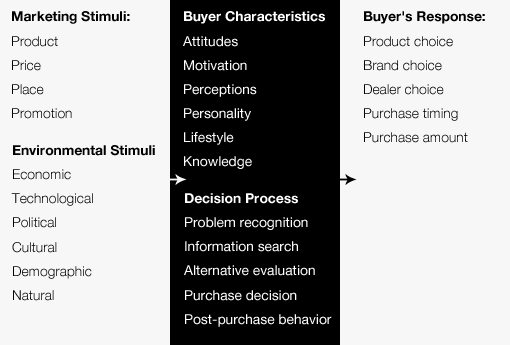 What Is a Black Box Model? Definition, Uses, and Examples