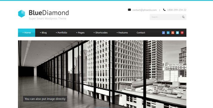 wordpress-blue-diamond