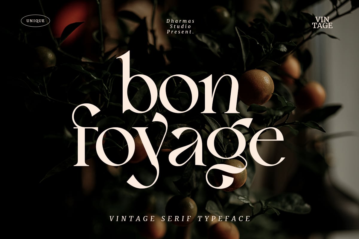 Bon Foyage - Elegant Luxury Font