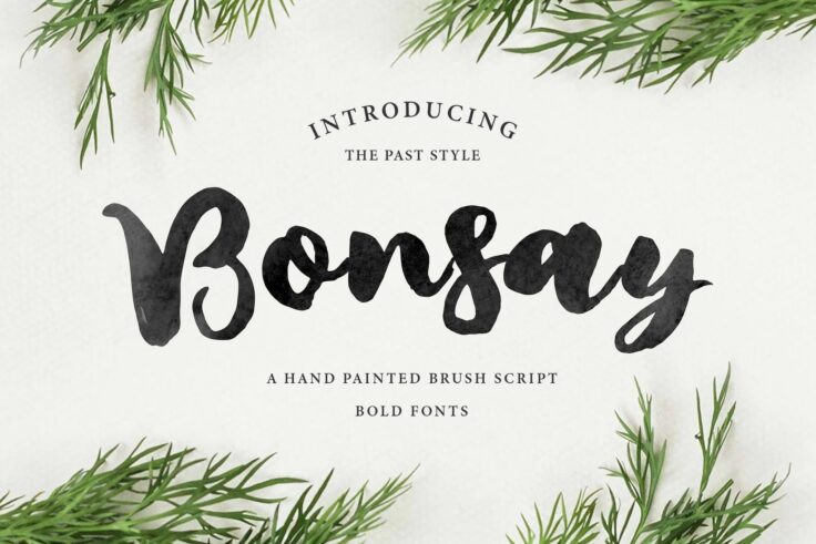 View Information about Bonsay Watercolor Brush Font