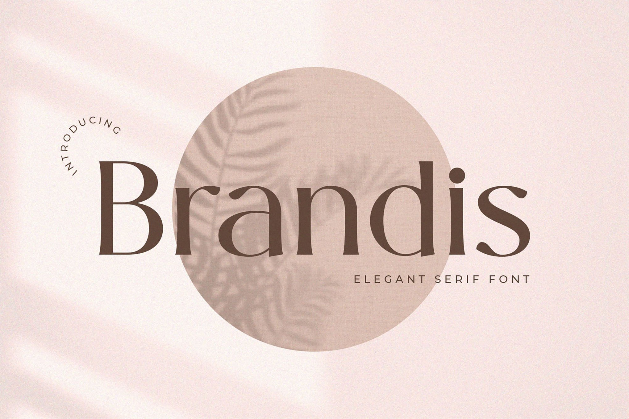 Brandis - Modern Serif Font