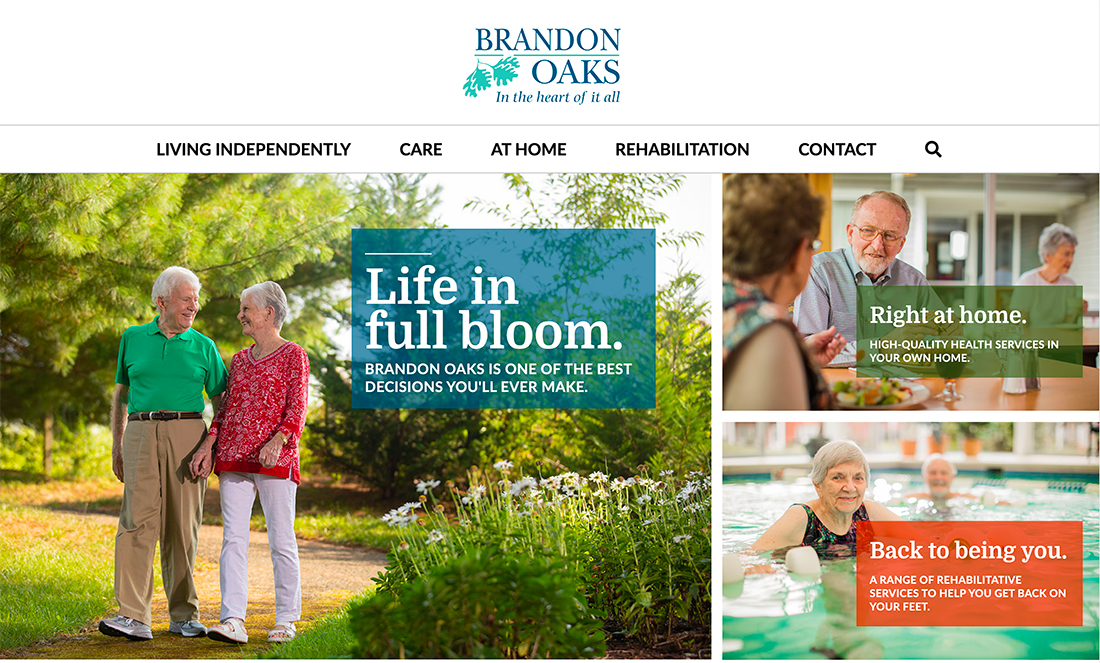 web design for seniors