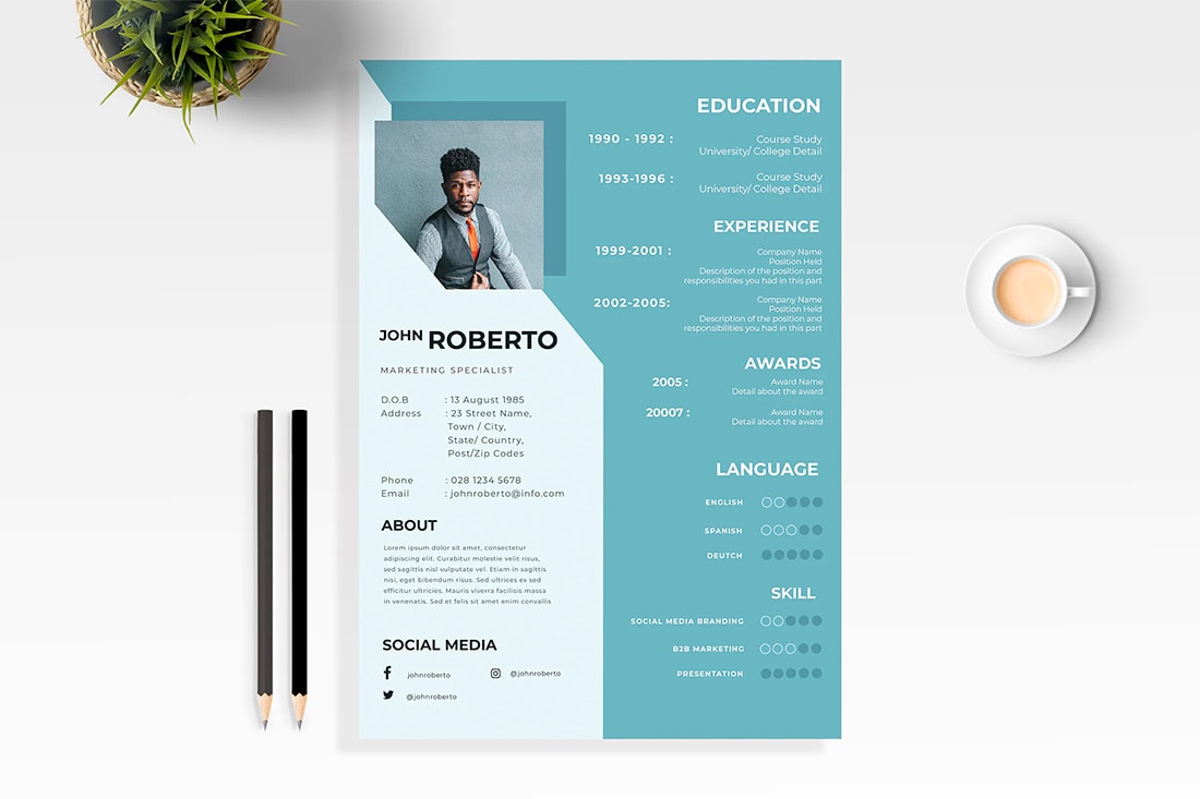 20 Stylish Resume Color Schemes | Design Shack