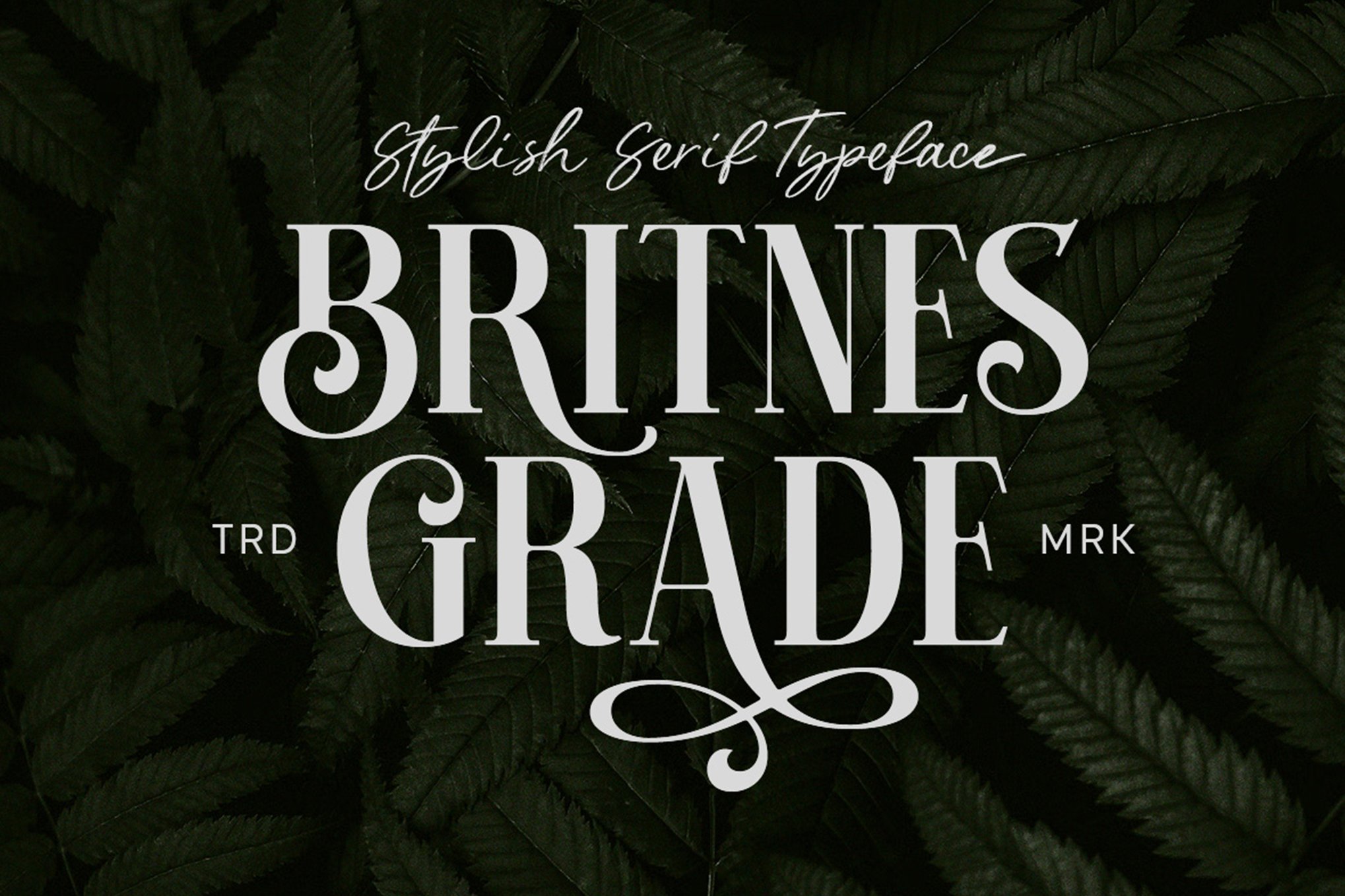 Britnes Grade - Elegant British Font