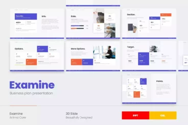 Examine Business Plan Template Google Slides