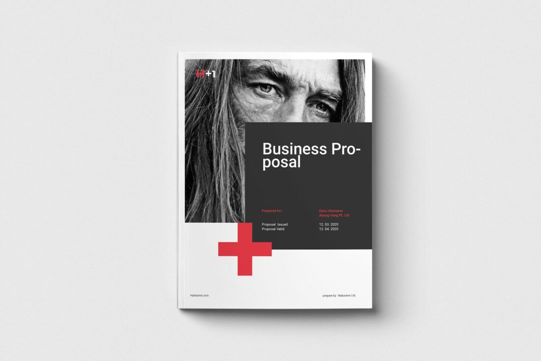 25+ Best InDesign Proposal Templates (Business + Project Proposals ...