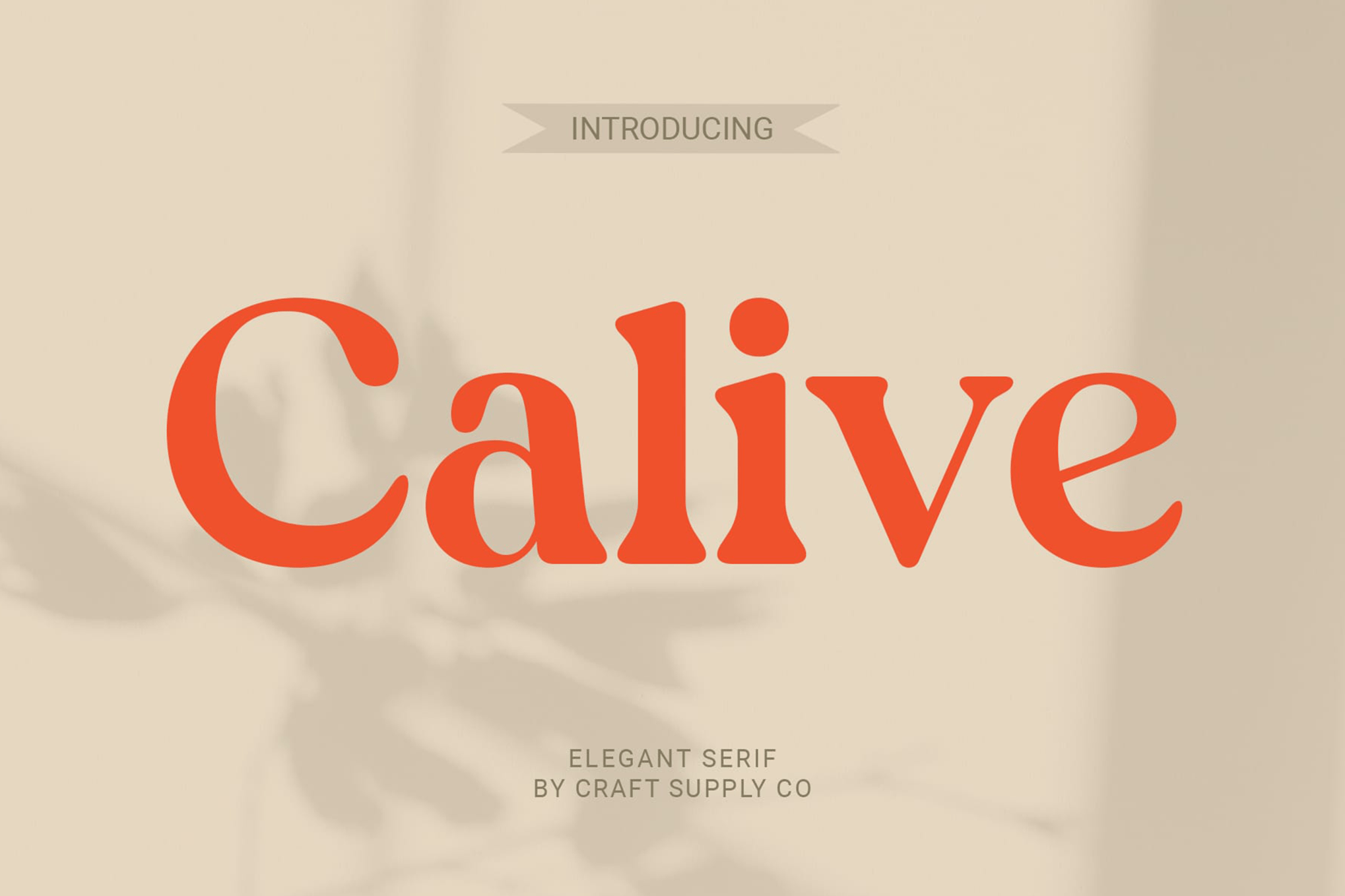 Calive - Nostalgic Rounded Serif Font