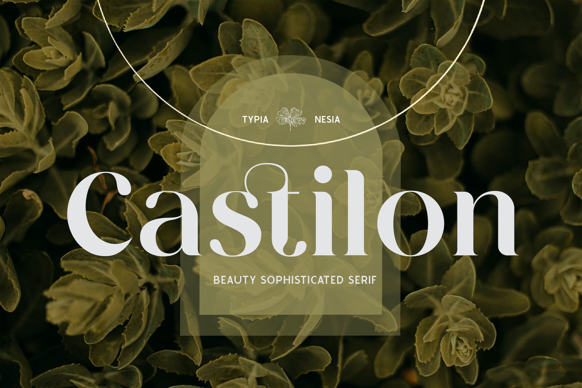 Castilon - Elegant Tropical Font