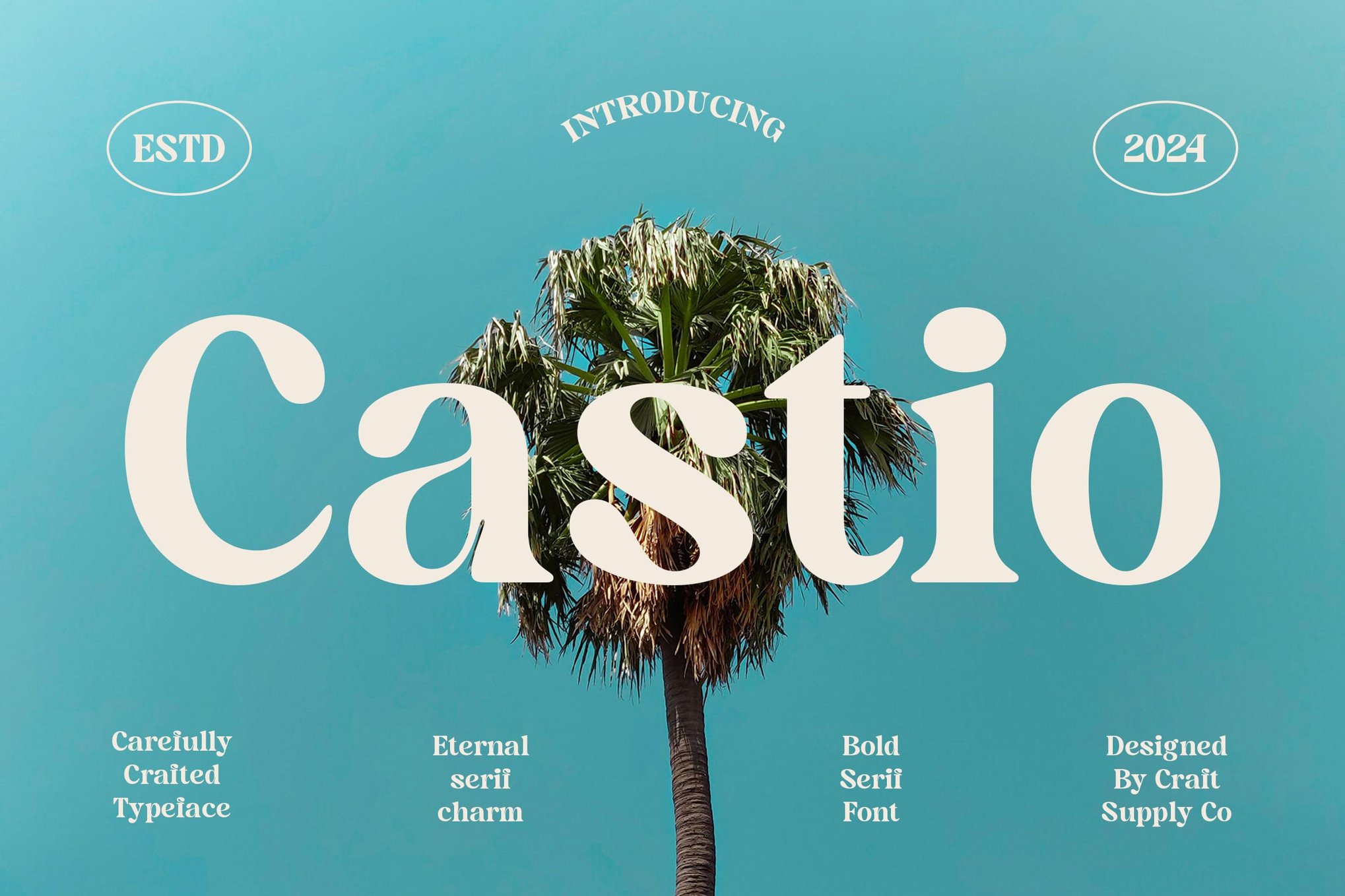 Castio - Bold Serif Logo Font