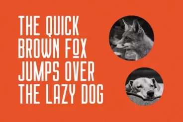 Second alternate image for Chillvornia Condensed Font