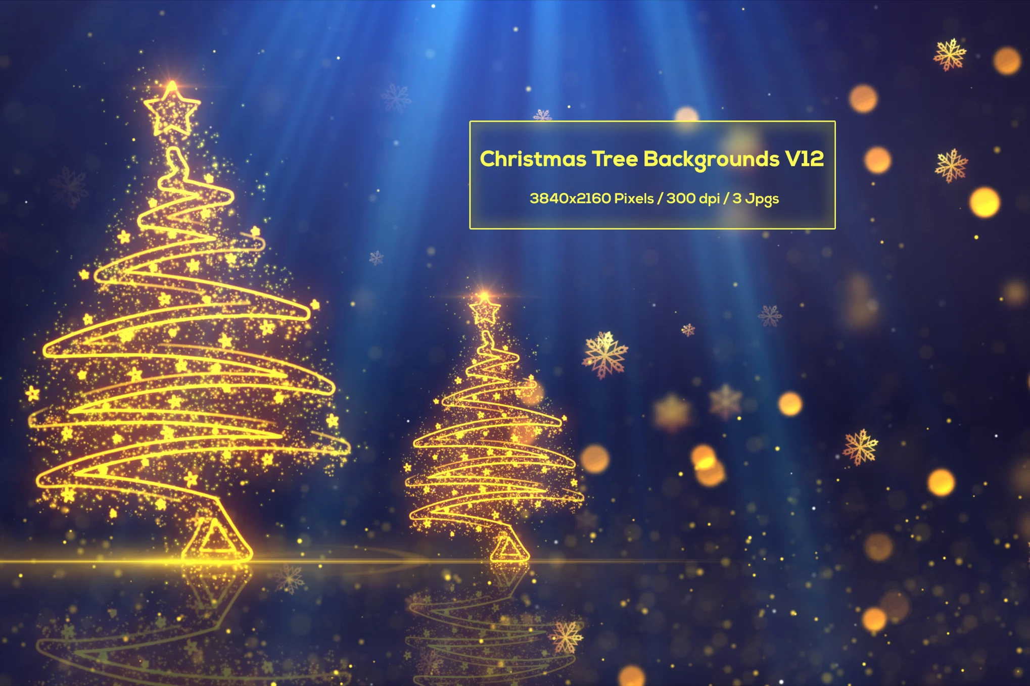 Christmas Trees Backgrounds