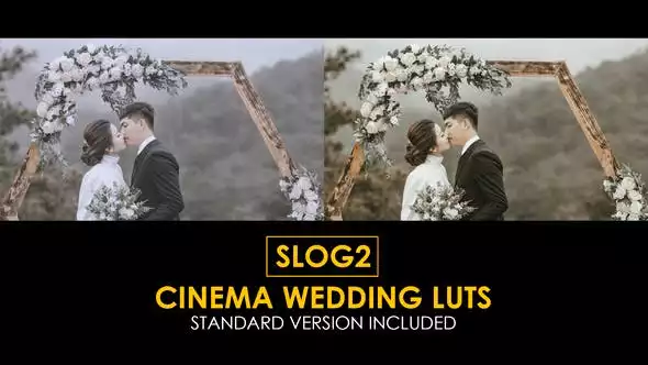 View Information about Cinema Wedding LUTs
