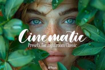 20+ Most Popular Cinematic Lightroom Presets for a Hollywood Look