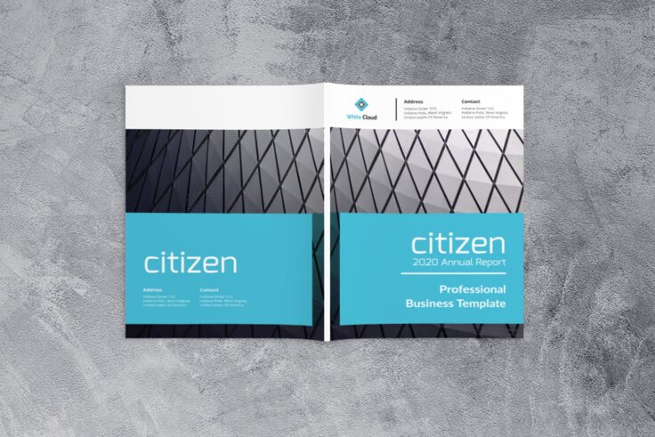 View Information about Citizen Annual Report Business Template