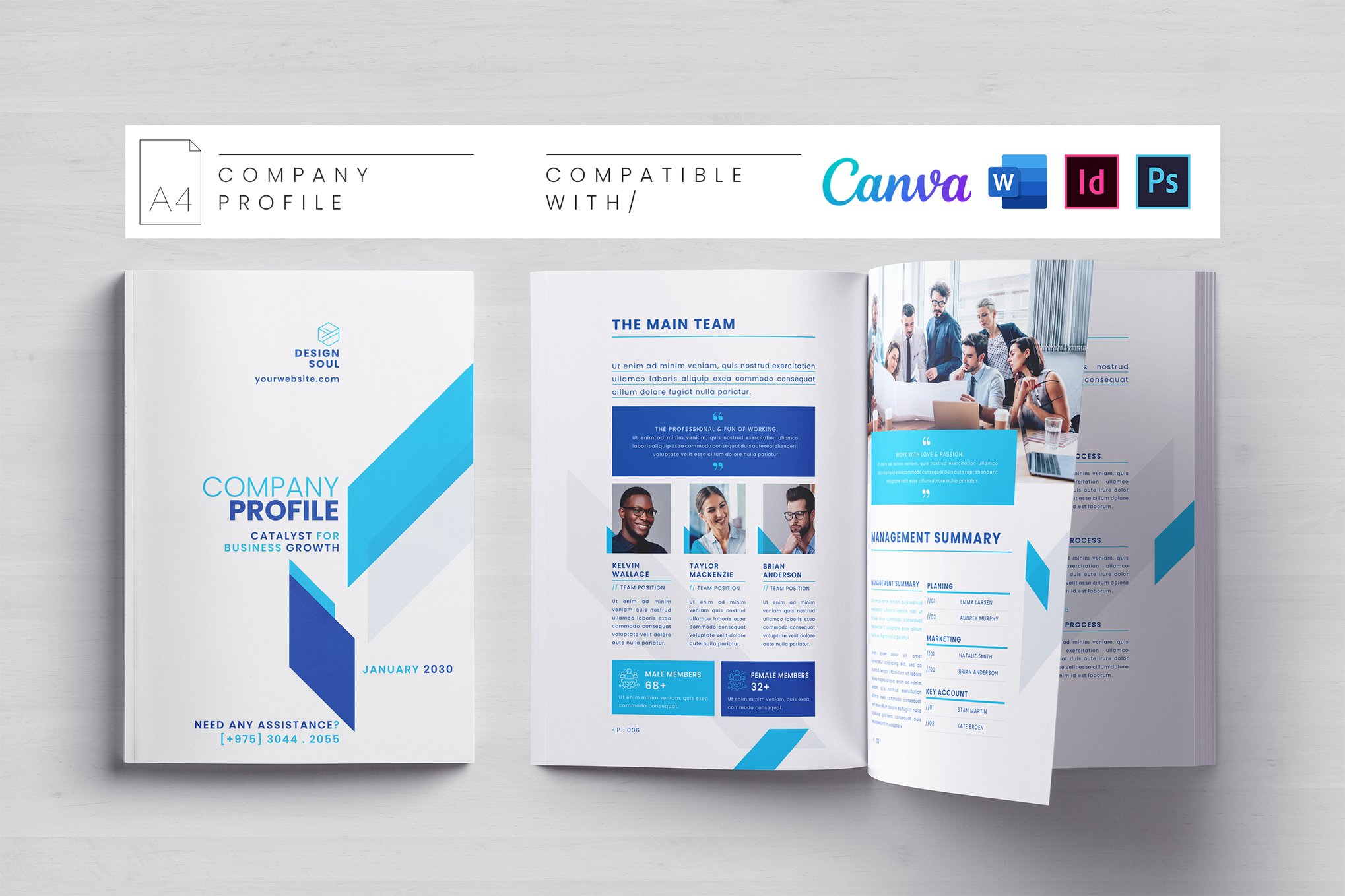 Clean Company Profile Word Template