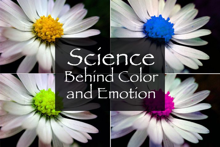 Color and emotions: How Color Impacts Emotions and Behaviors