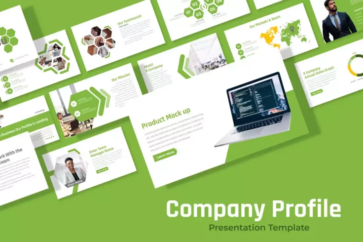 View Information about Free Company Profile PPT Template
