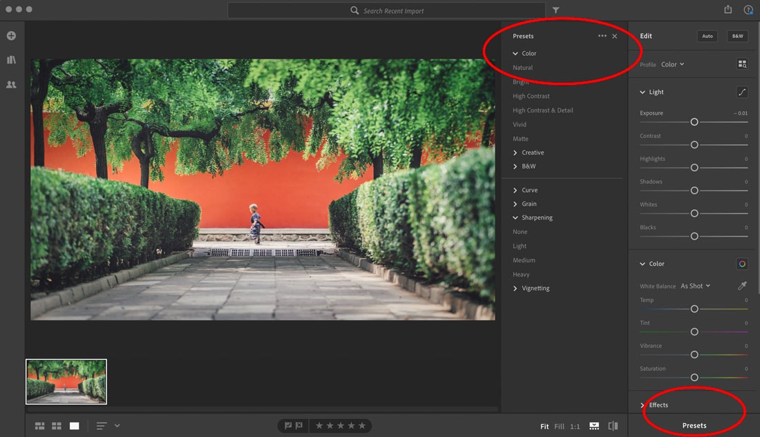 apply presets from lightroom to capture one