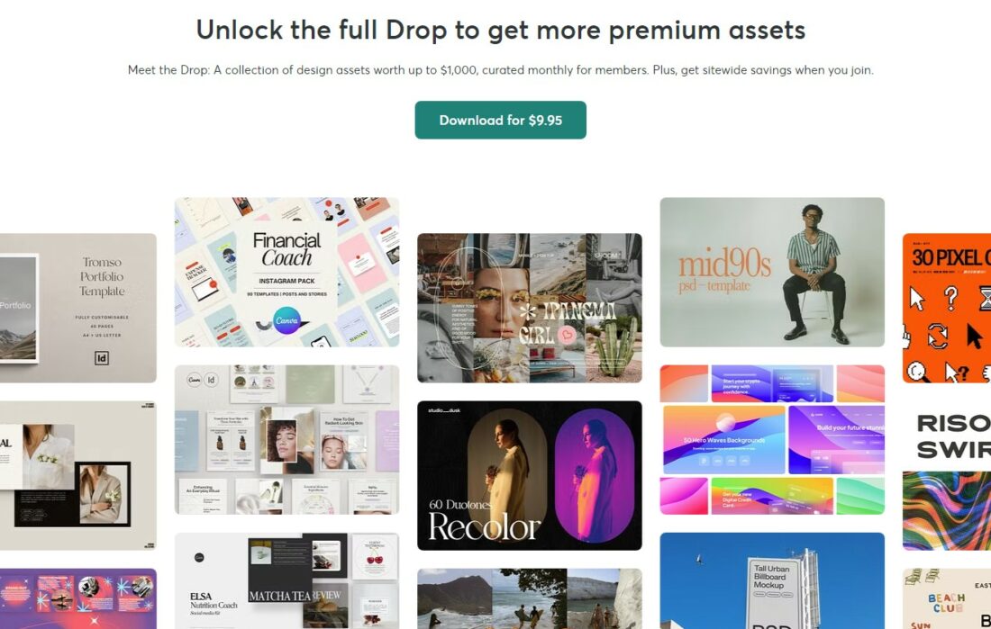 Envato Elements vs Creative Market: Which Is Best? | Design Shack
