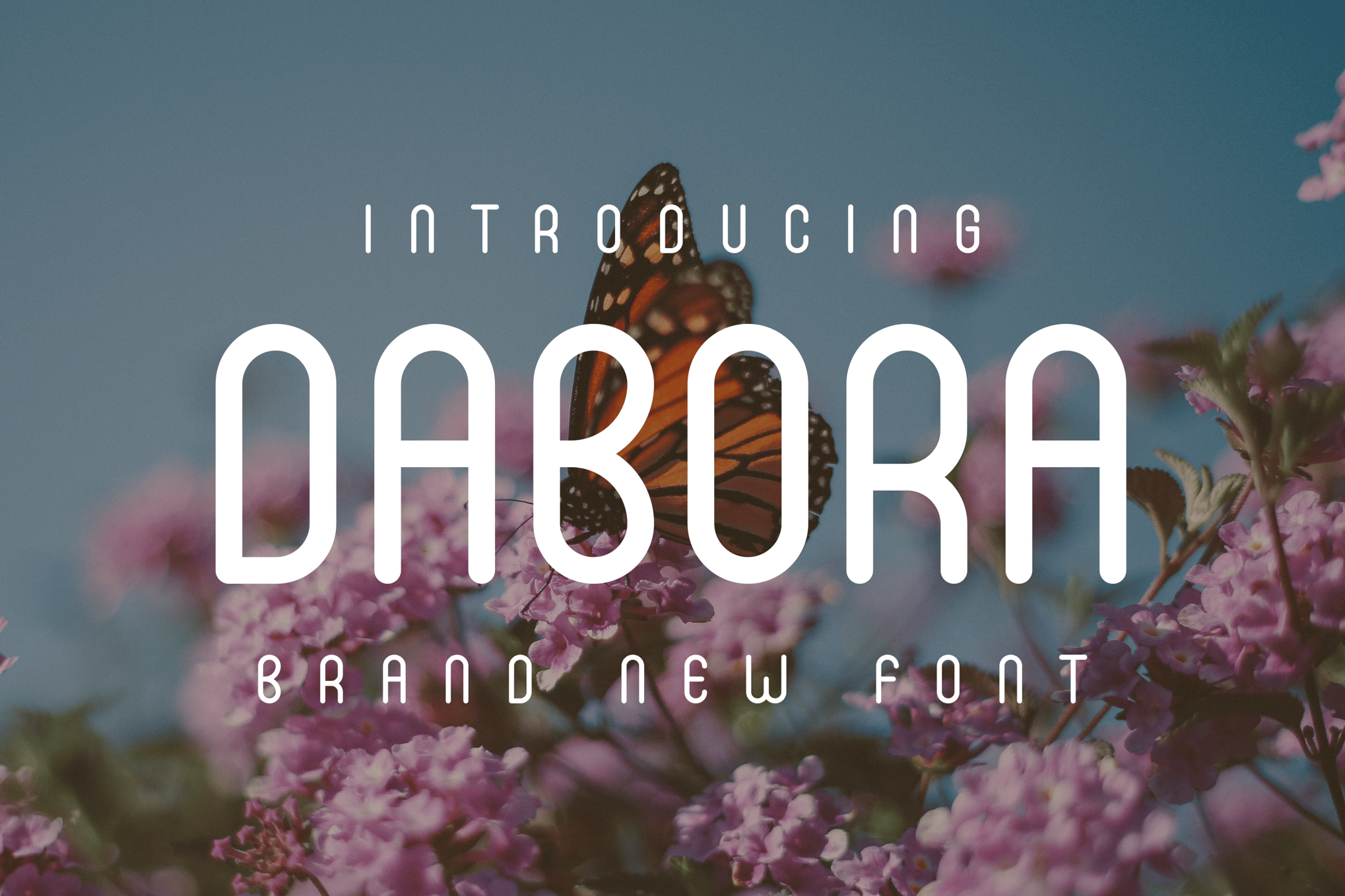Dabora - Unique Humanist Font