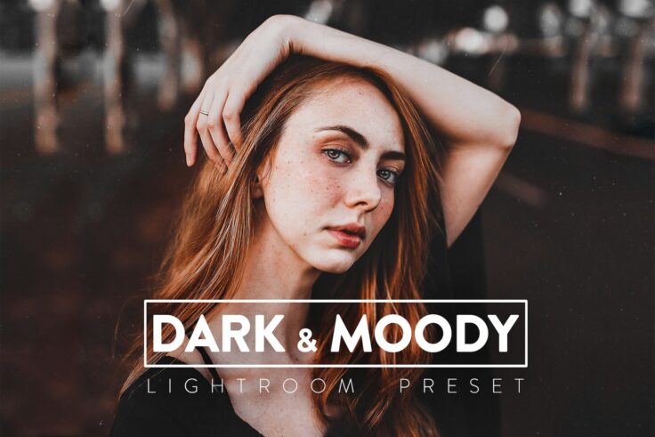 View Information about Dark and Moody Lightroom Presets