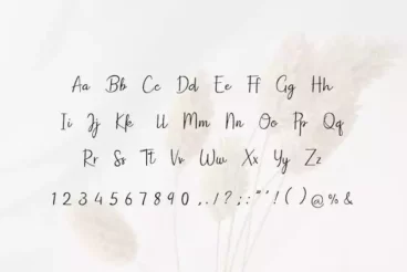 Second alternate image for Dish Domine Handwritten Chic Font