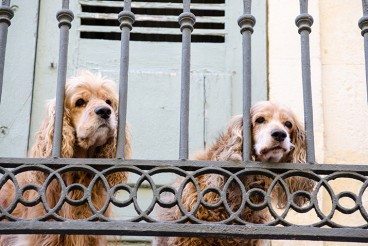 Empathy and Design: What You Should Consider