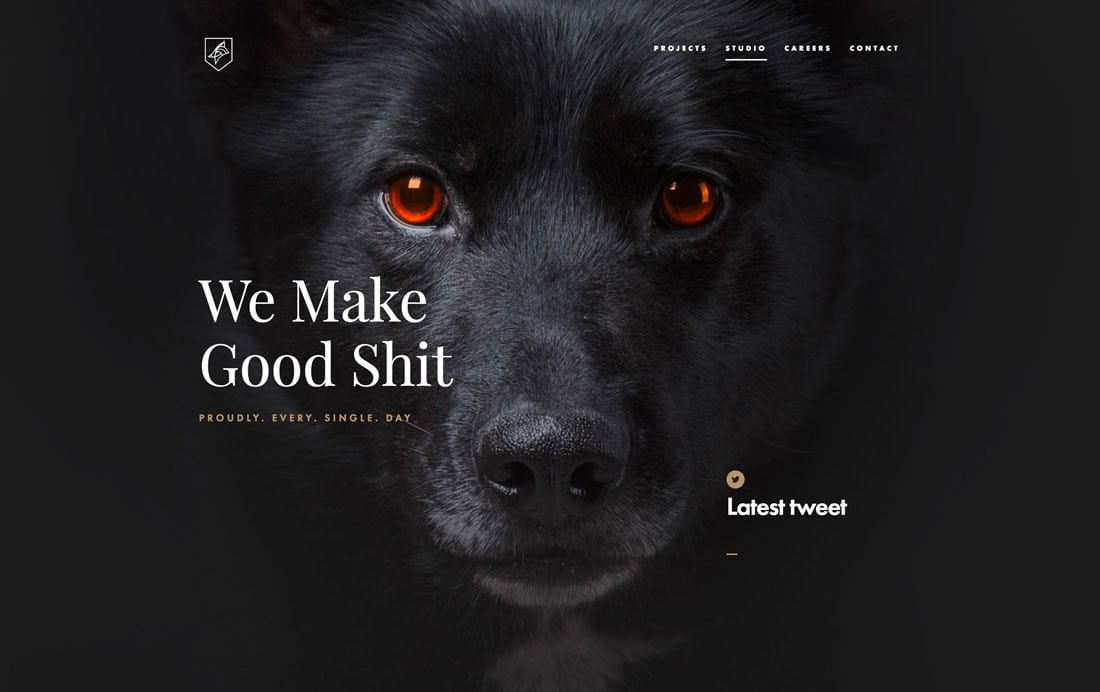 dogstudio Black and White Design: 10 Stunning Examples (+ Tips) design tips 