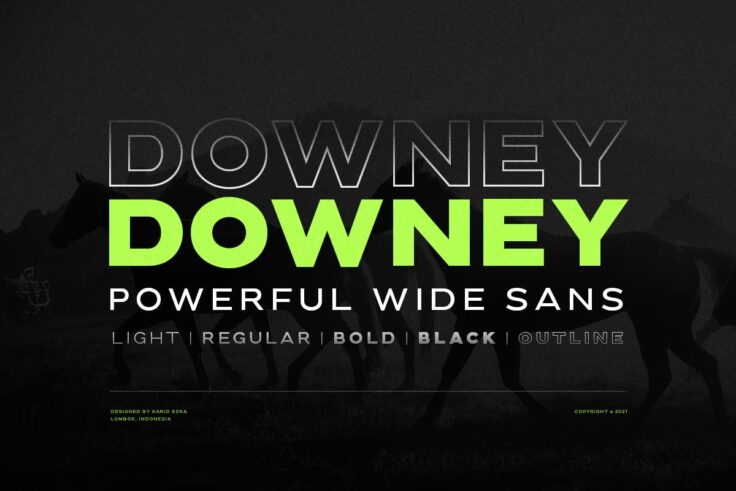 View Information about Downey Wide Sans Serif Font