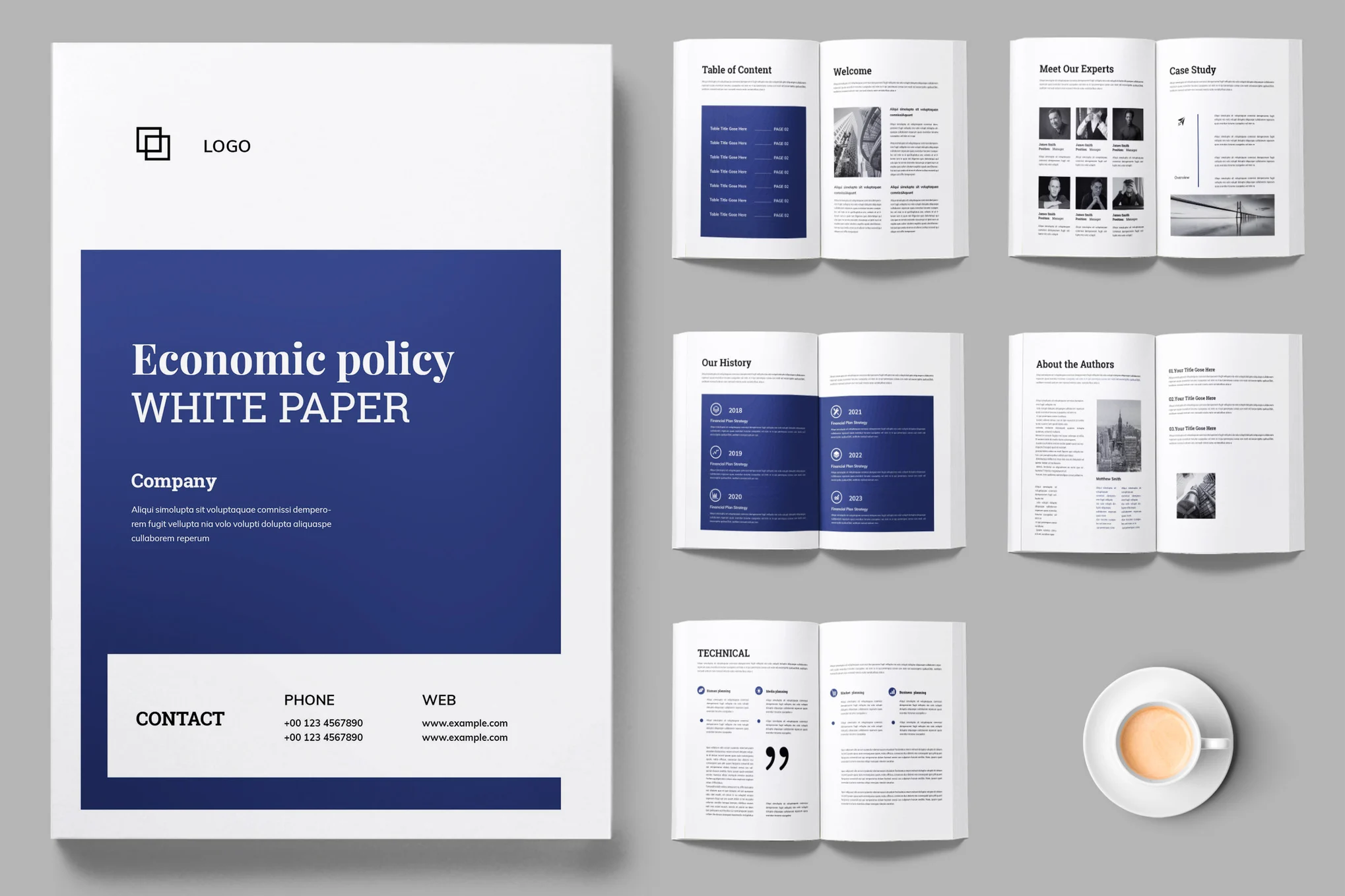 Economic White Paper InDesign Template