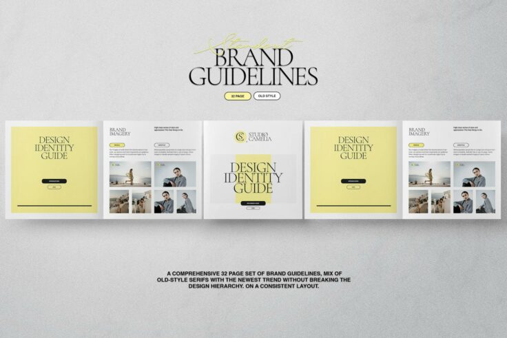 View Information about Elegant Brand Guidelines Template