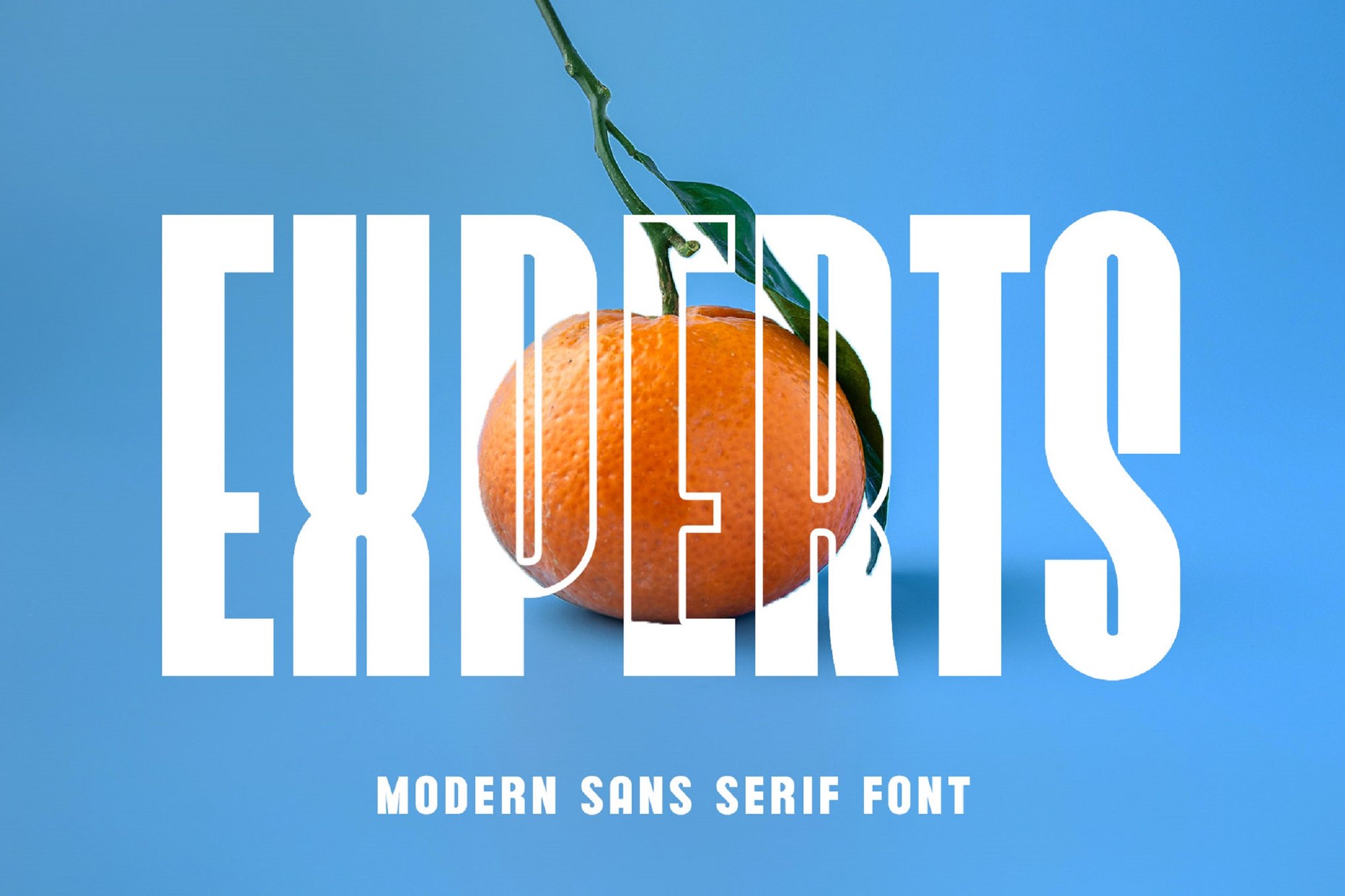 Experts - Credible Logotype Font