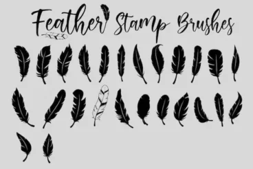 Second alternate image for Feather Stamp Brushes for Affinity Designer