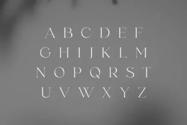 First alternate image for Fonde Elegant Chic Font