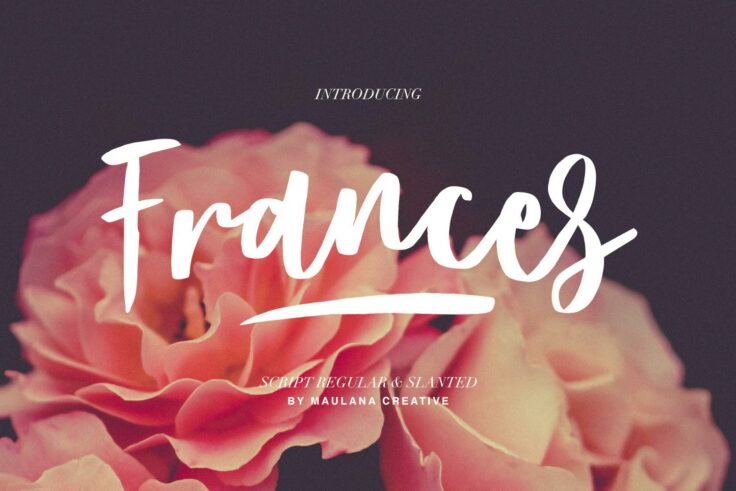 View Information about Frances Modern Font