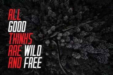 First alternate image for Glorynight Tall Version