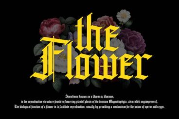 Second alternate image for Grandice Font