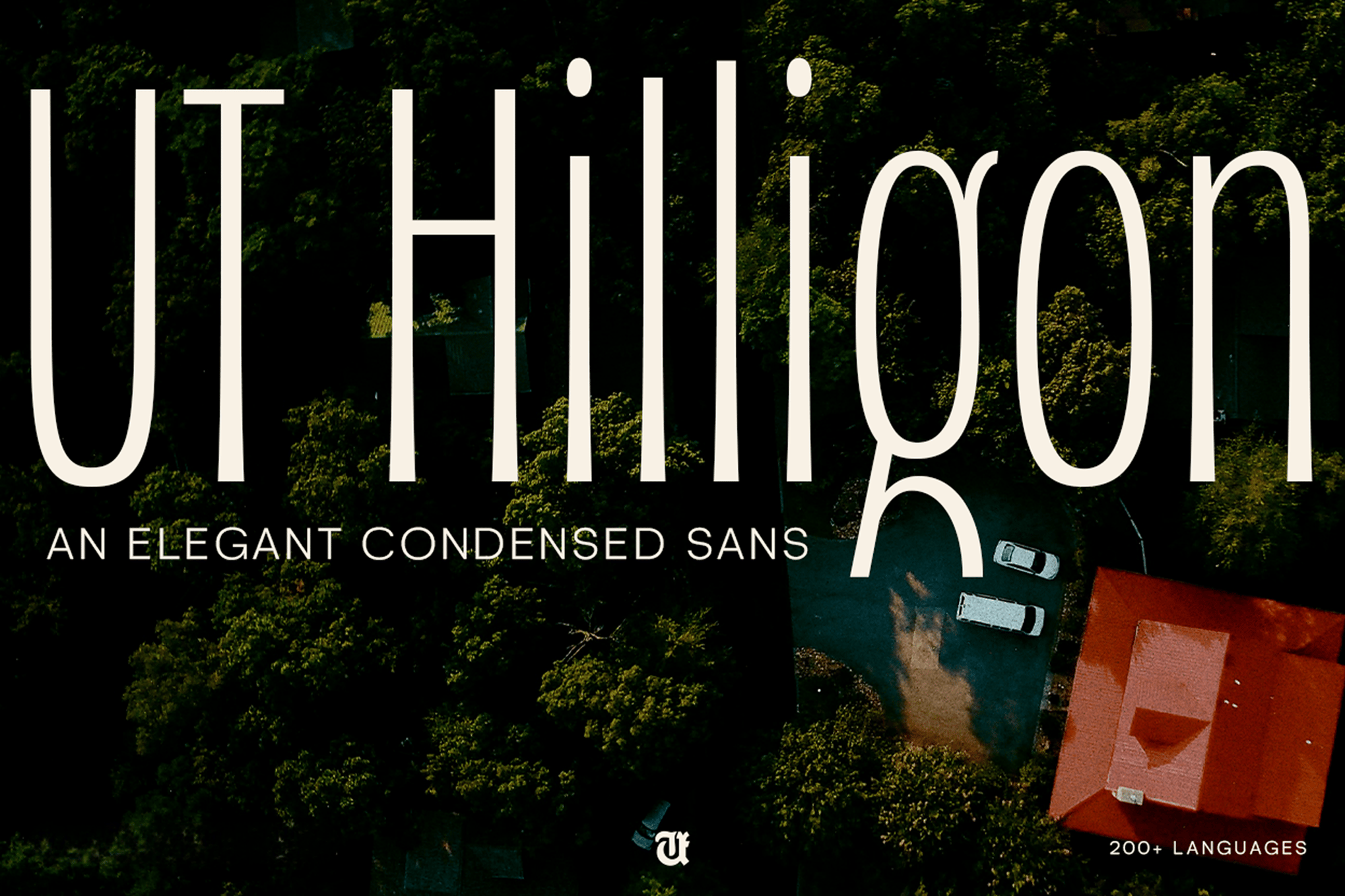 Hilligon - Elegant Graduation Font