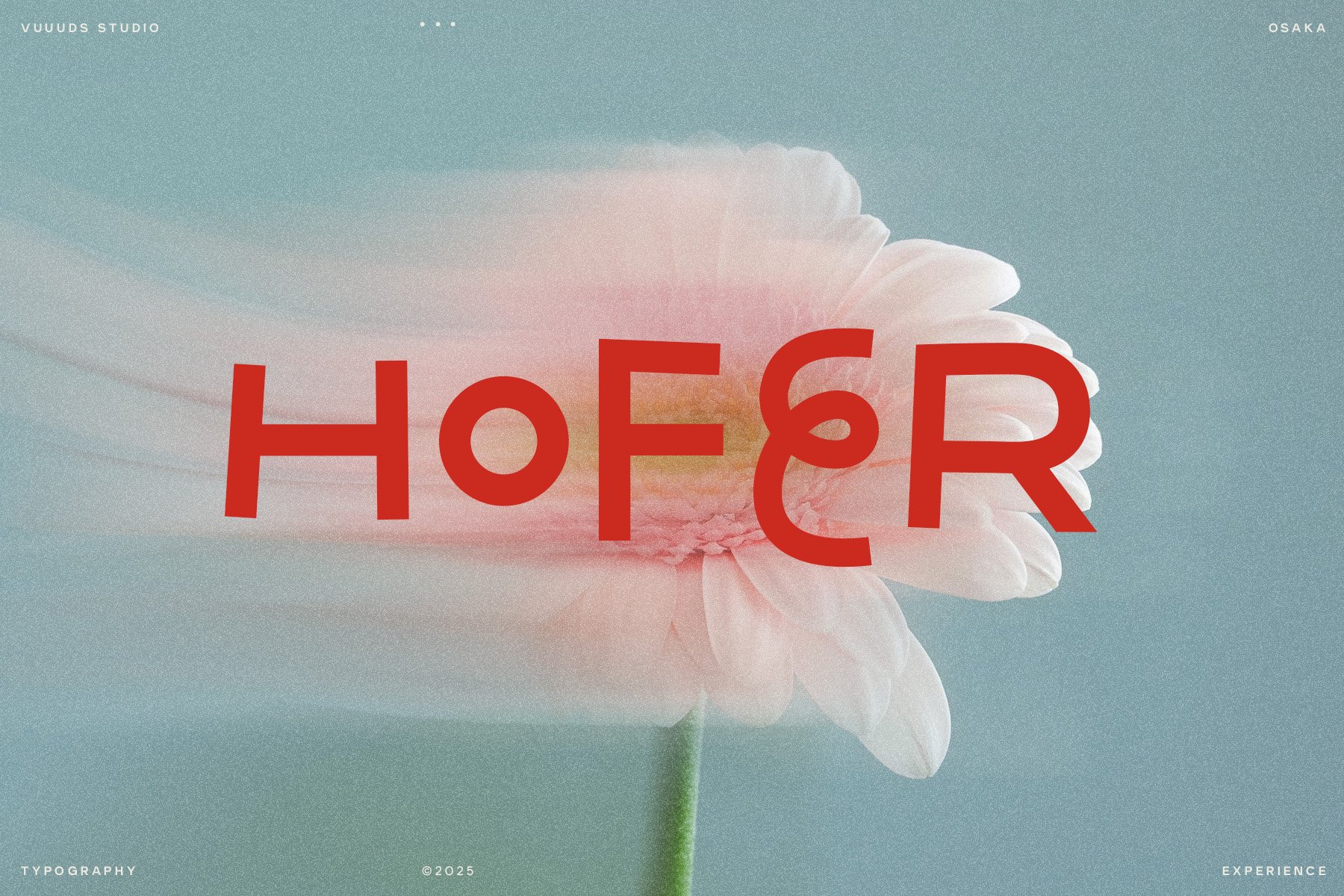 Hofer - Creative Ligature Font