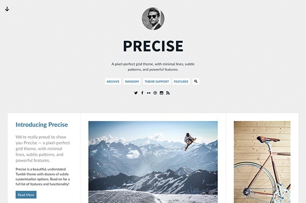 View Information about Precise Tumblr Theme