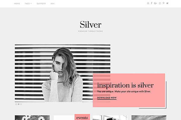 View Information about Silver Tumblr Theme