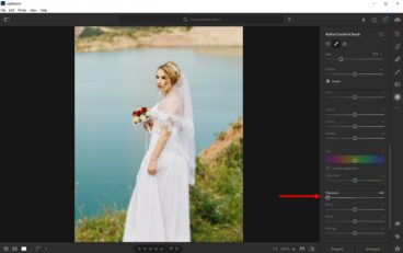 How to Blur a Background in Lightroom (Step by Step Guide) | Design Shack