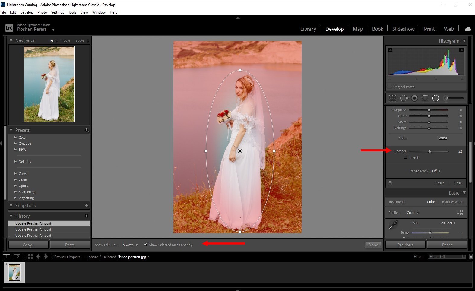 How to Blur a Background in Lightroom (Step by Step Guide css 背景のみ blur Penelope0on2