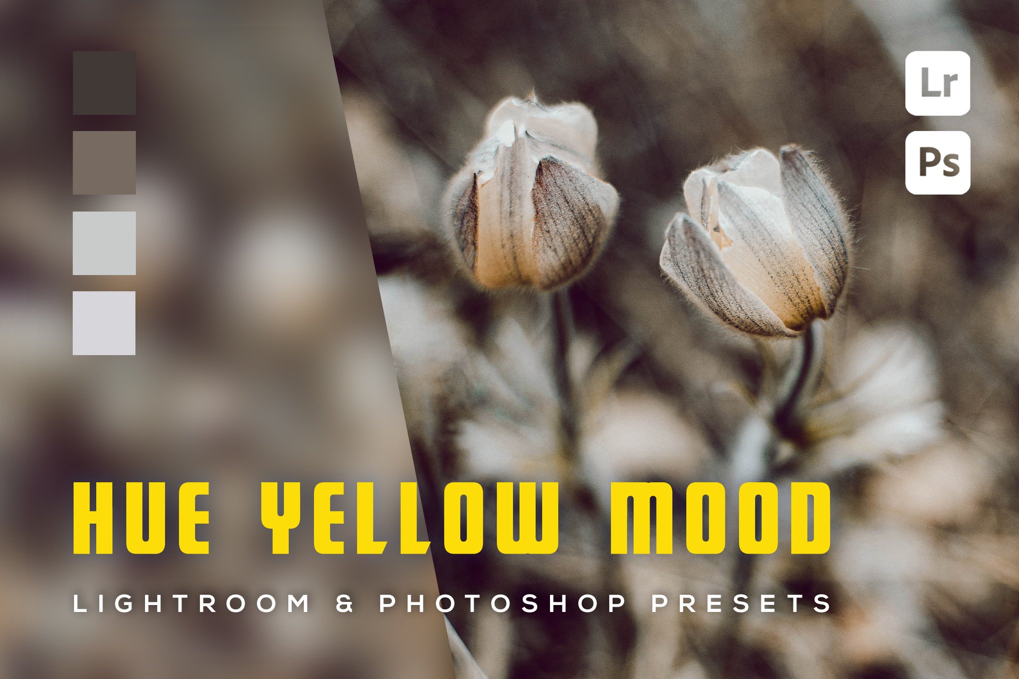 Hue Yellow Mood Lightroom Color Grading Presets