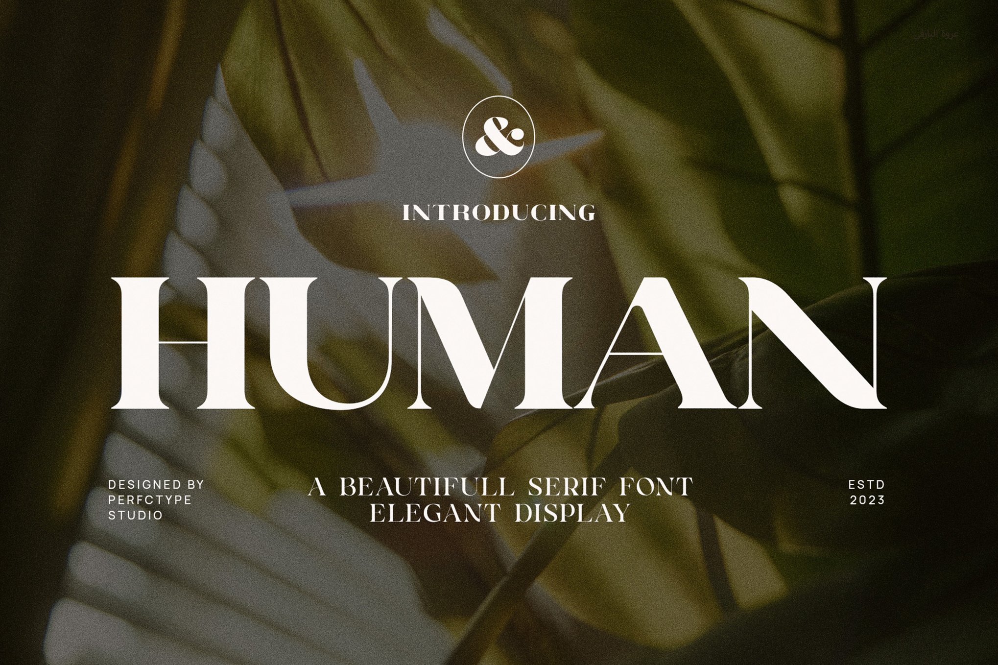 Human - Elegant Humanist Serif Font